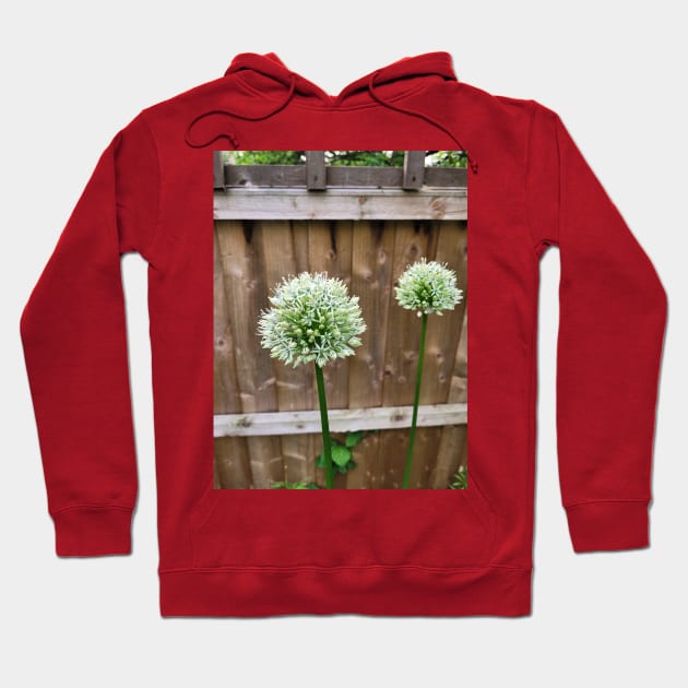 Allium Mont Blanc Hoodie by Red is the colour